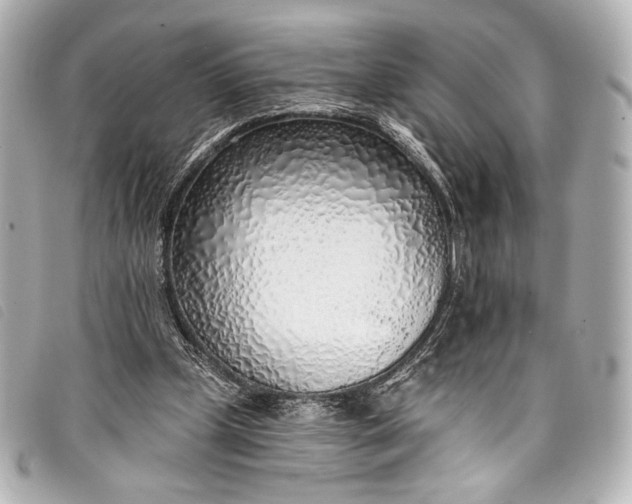 X0000098110249200804181500