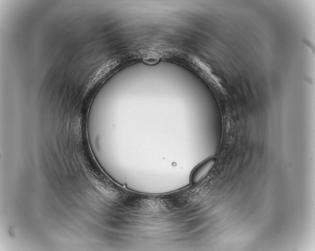 X0000098110250200804181500