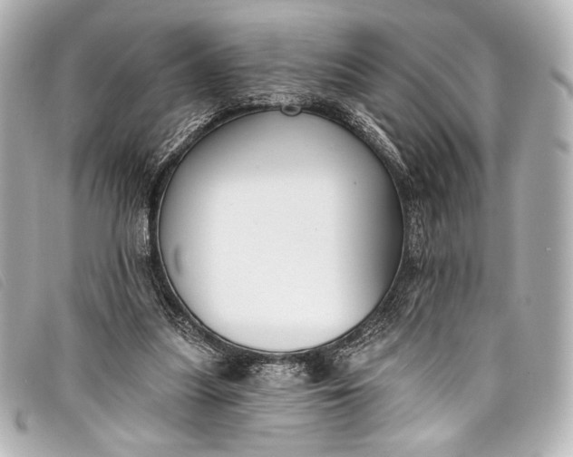 X0000098110251200804181500