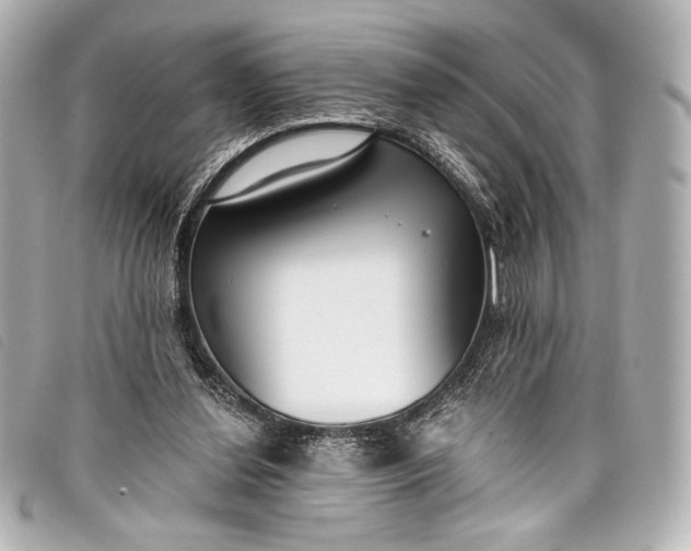 X0000098110252200804181500