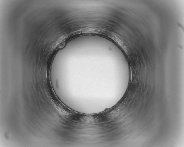 X0000098110253200804181500