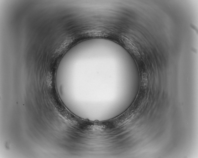 X0000098110255200804181500
