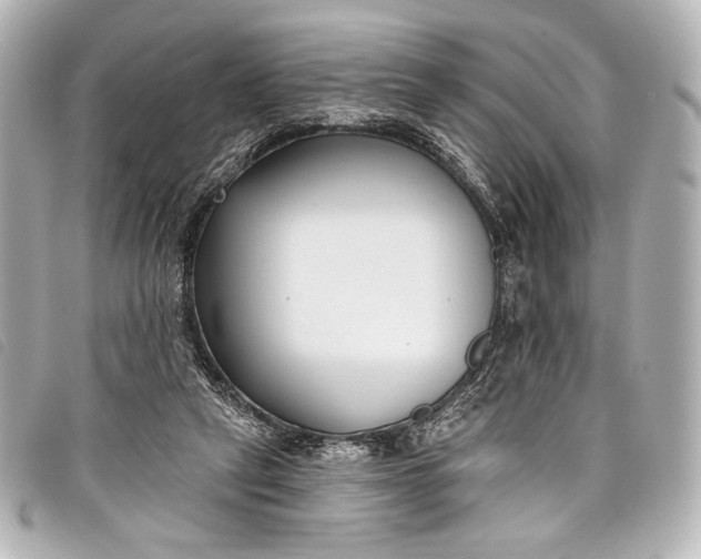 X0000098110257200804181500