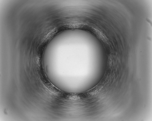 X0000098110258200804181500