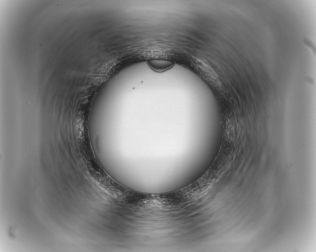 X0000098110259200804181500