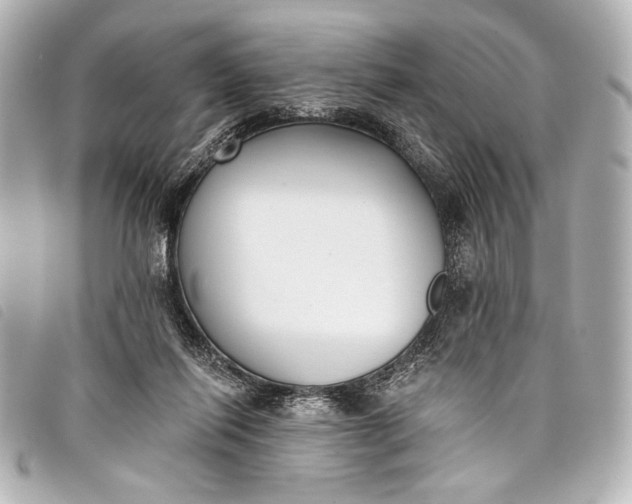 X0000098110262200804181500