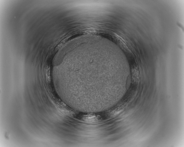 X0000098110267200804181500
