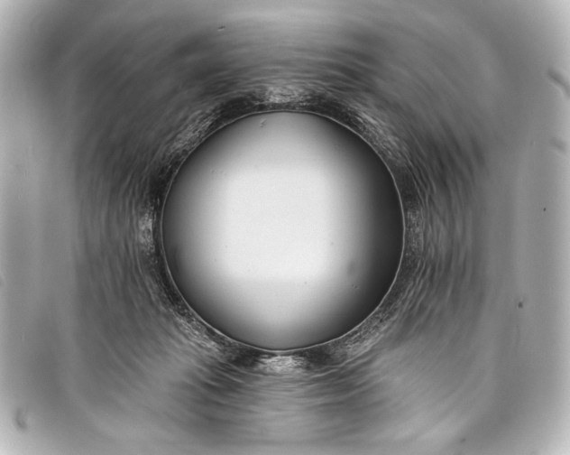 X0000098110269200804181500
