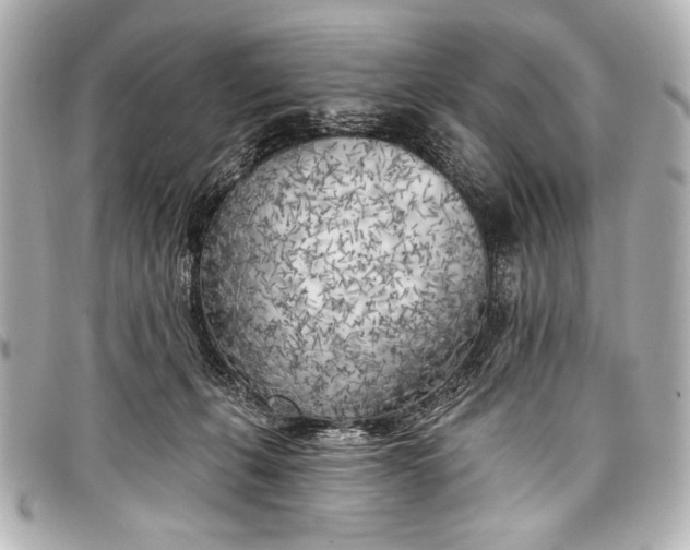 X0000098110271200804181500