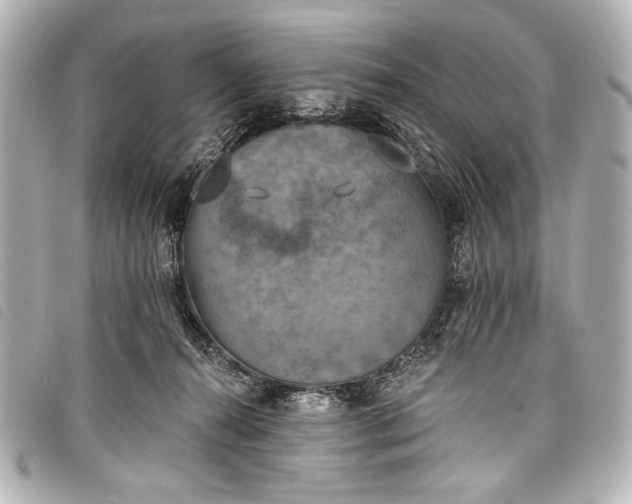 X0000098110272200804181500