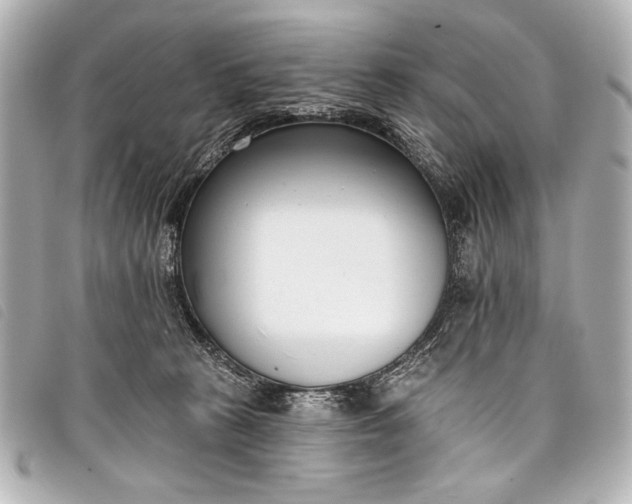 X0000098110273200804181500