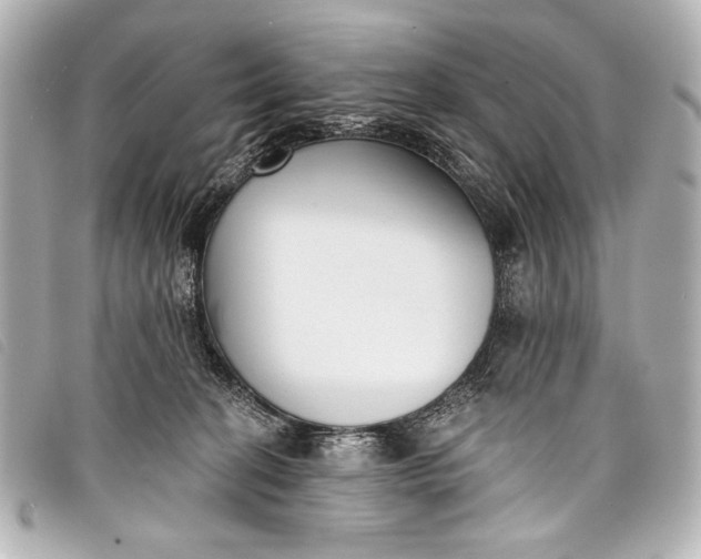 X0000098110274200804181500