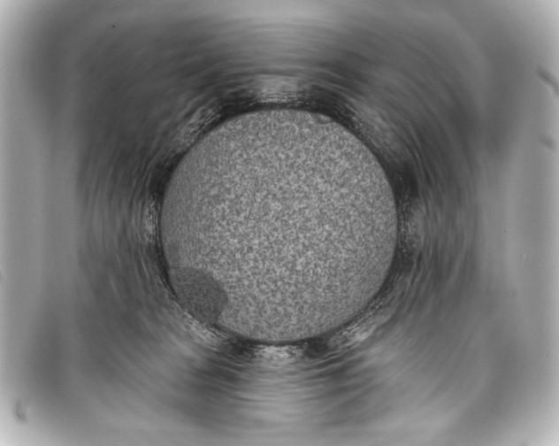 X0000098110277200804181500