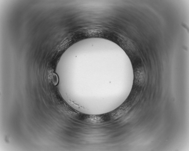 X0000098110278200804181500