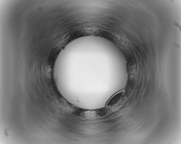 X0000098110279200804181500