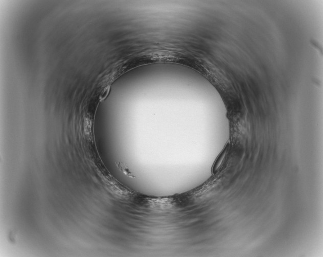 X0000098110281200804181500
