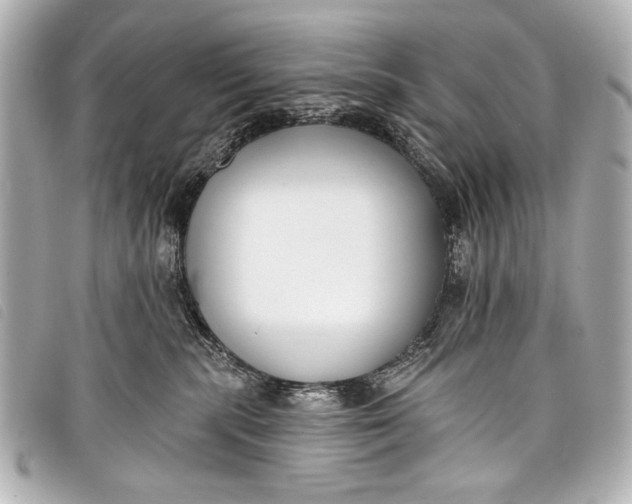 X0000098110283200804181500