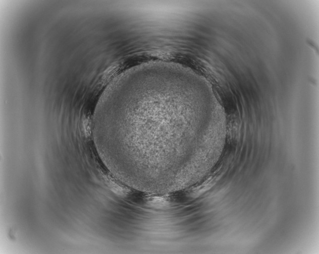 X0000098110285200804181500