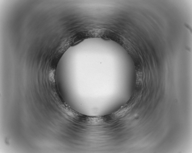 X0000098110286200804181500