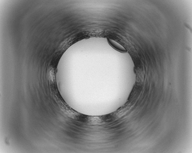 X0000098110287200804181500