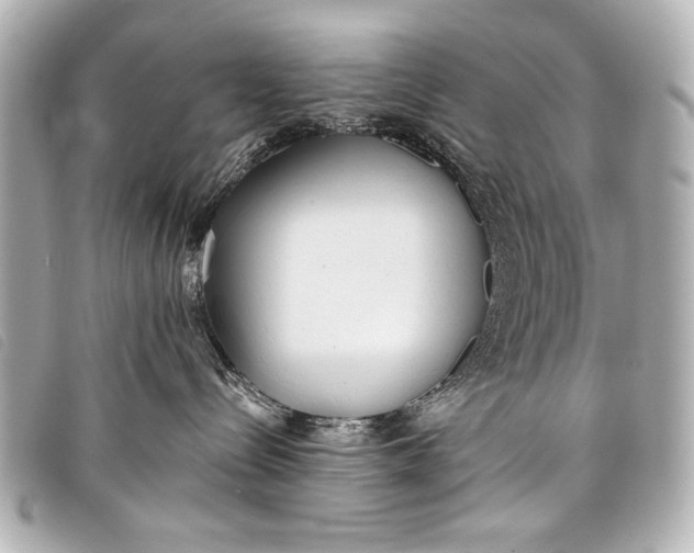 X0000098110288200804181500