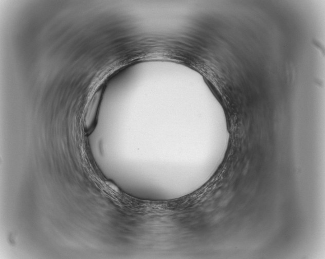 X0000098110289200804181459