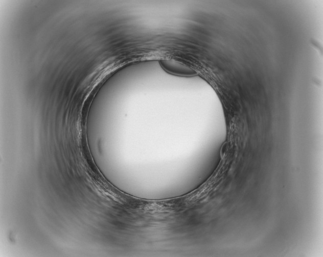 X0000098110290200804181459