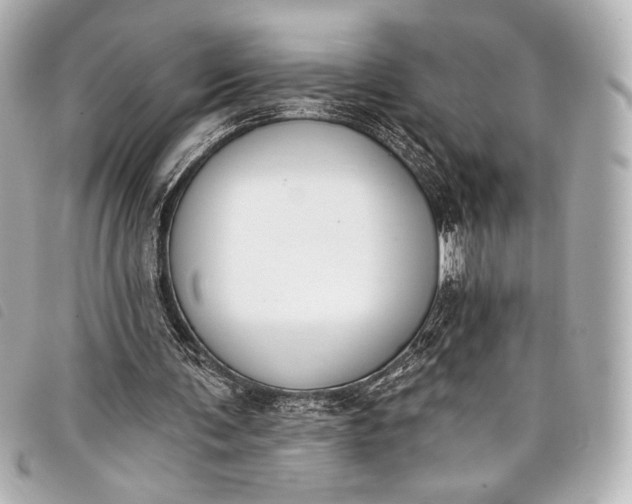 X0000098110291200804181459