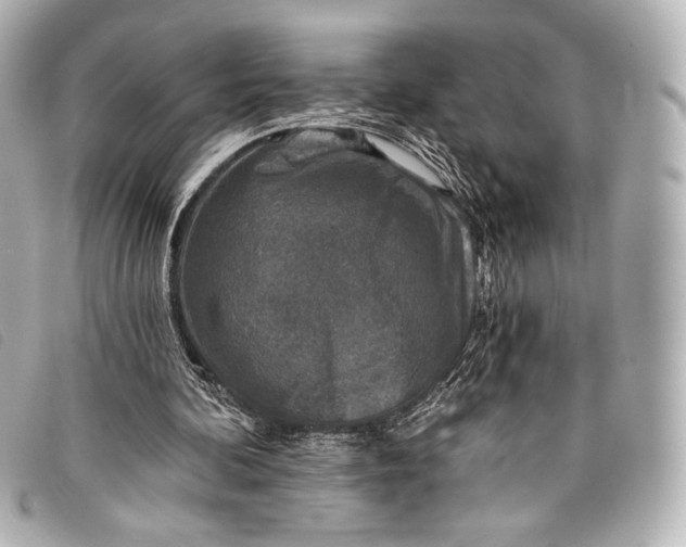 X0000098110292200804181459