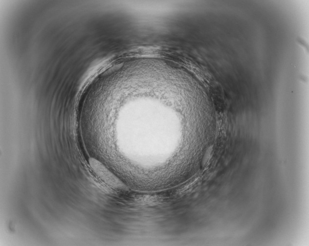 X0000098110293200804181459