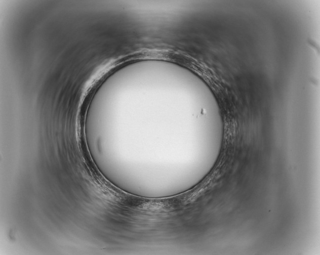 X0000098110294200804181459
