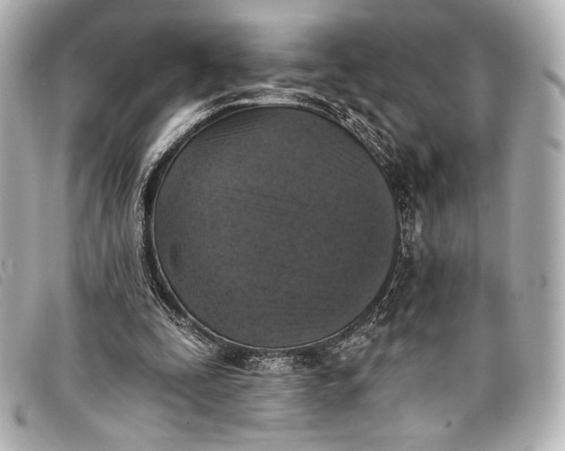 X0000098110295200804181459