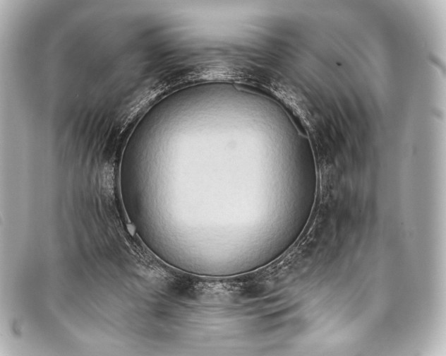 X0000098110297200804181459