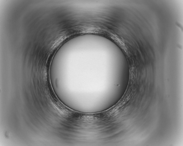 X0000098110298200804181459