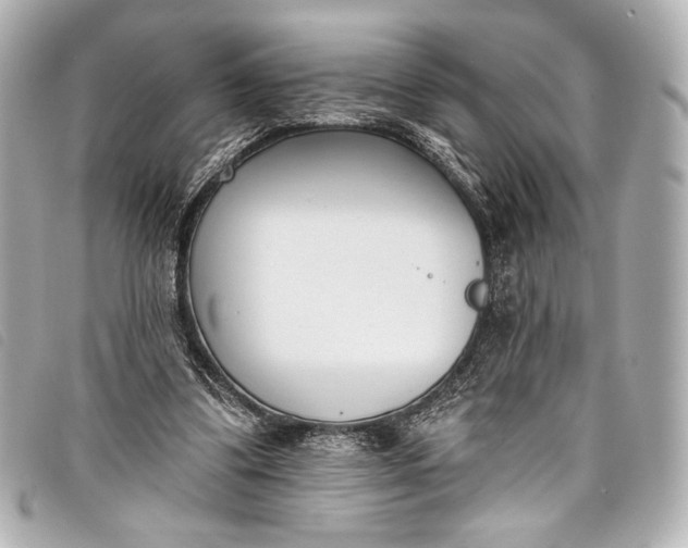 X0000098110299200804181459