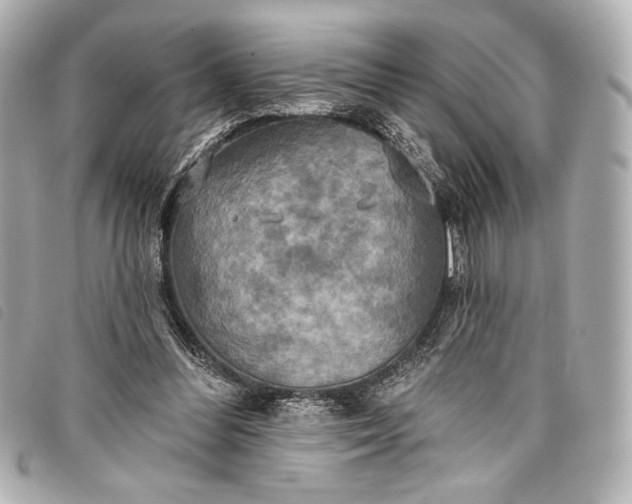 X0000098110300200804181459