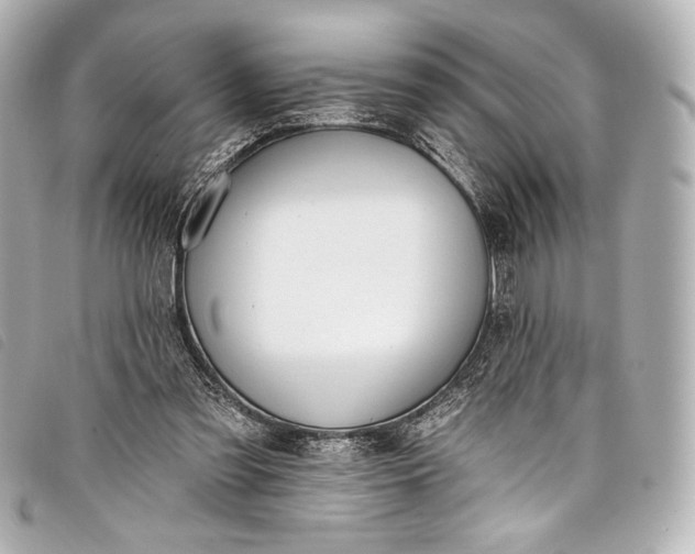 X0000098110301200804181459