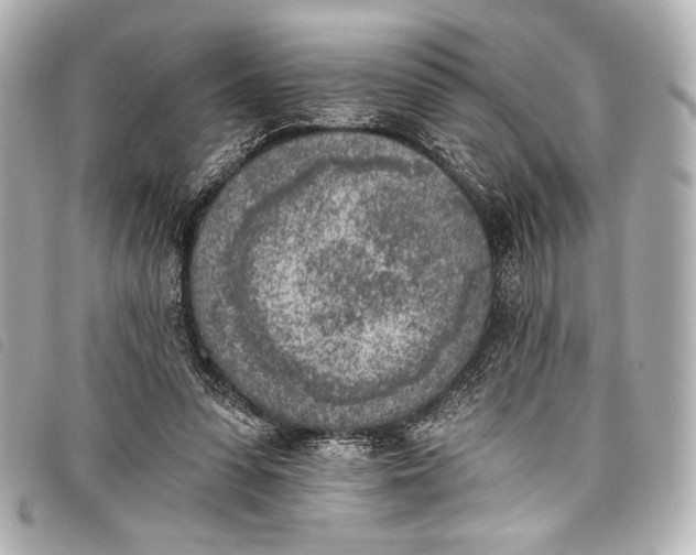 X0000098110303200804181459