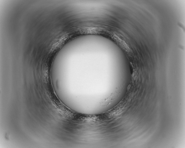 X0000098110306200804181459