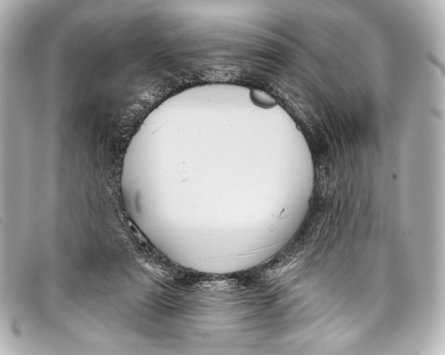 X0000098110307200804181459