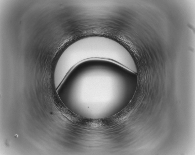 X0000098110308200804181459