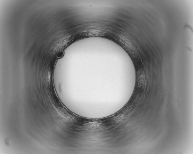 X0000098110310200804181459