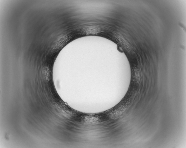 X0000098110311200804181459