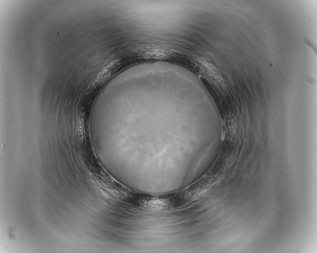 X0000098110312200804181459