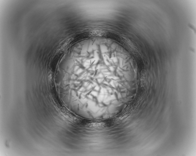 X0000098110314200804181459