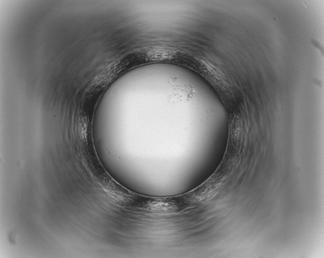 X0000098110315200804181459