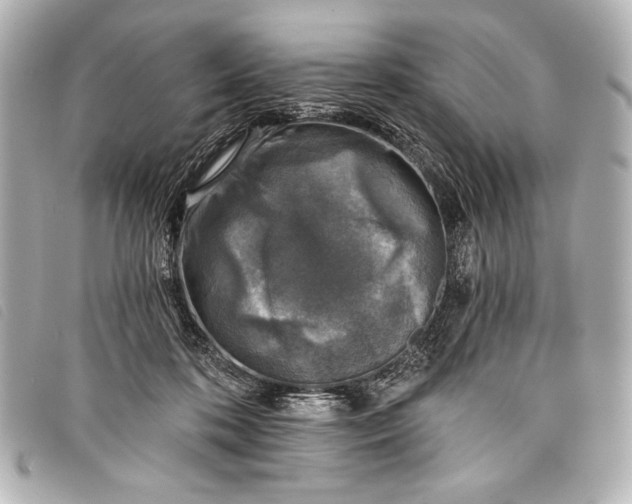 X0000098110316200804181459