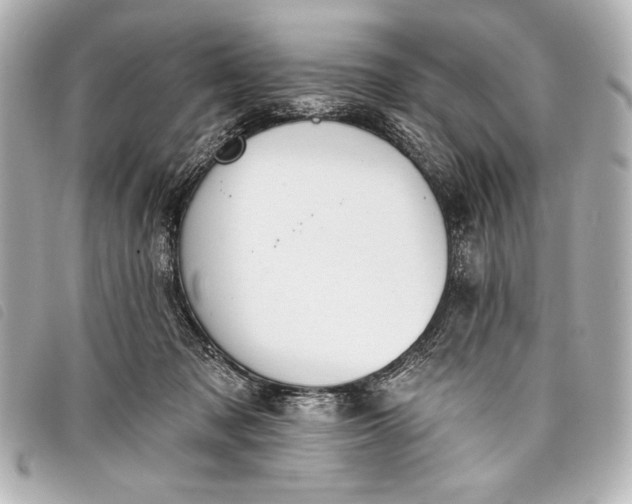 X0000098110317200804181459
