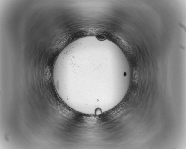 X0000098110318200804181459
