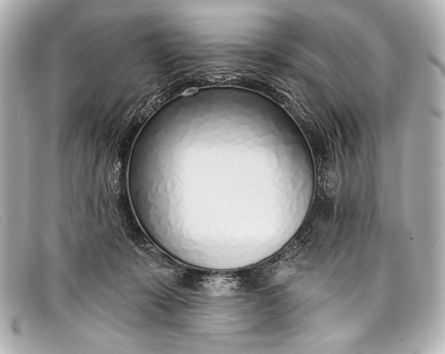 X0000098110319200804181459